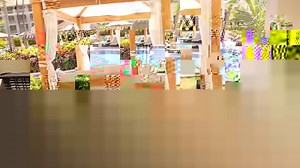 14K views · 245 reactions | Majestic is an all inclusive resort,surrounded by the most breathtaking landscapes, making it an ideal place for Caribbean lovers and first timers visiting the Punta Cana area. Two words “Sophisticated and luxurious”, offer a perfect description of the new Majestic Mirage Punta Cana. Come and let us take you on a tour in our Majestic Mirage Swim up Suite with Outside Jacuzzi. | MAJESTIC RESORTS | Facebook