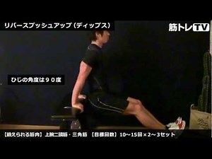リバースプッシュアップ（ディップス）／上腕三頭筋／筋トレ実践講座