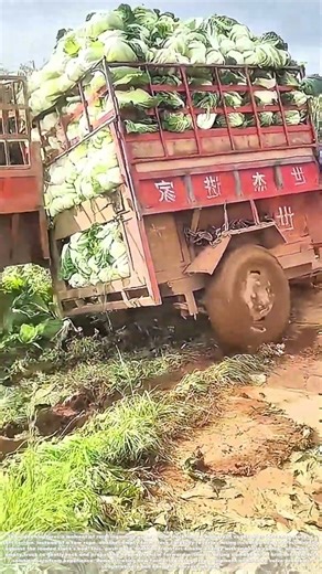 Bumper Crop Rescue: How a Simple Nudge Frees a Trapped Farm Truck