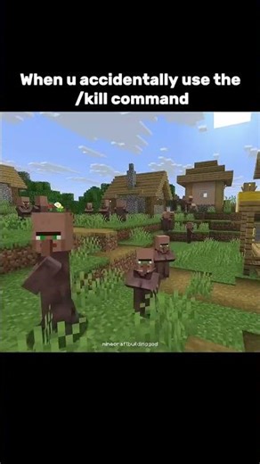 When i accidentally use the command kill @e