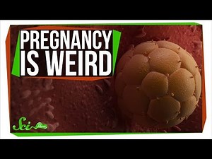 How Pregnancy Is Like Growing an Alien Inside You
