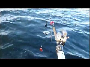 Fishhawk X2 "On Water" Demo without downrigger using a rod for a delivery device in a rod holder.