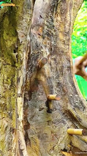 BUILDING A MYSTERIOUS TREE HOUSE IN THE MIDDLE OF THE FOREST