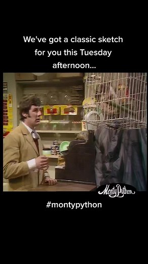 Monty Python on TikTok