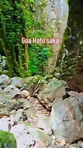195K views · 5.4K reactions | Goa Hatusaka adalah gua vertikal terdalam di Indonesia, terletak di Taman Nasional Manusela, Pulau Seram, Kabupaten Maluku Tengah, Provinsi Maluku. Gua ini memiliki kedalaman sekitar 424 meter dan dikenal juga sebagai "Gunung Pusaka" atau "Gunung Pemenang" oleh masyarakat setempat. #Sorotan #fyp #semuaOrang #GoaHatusaka #TamanNasionalManusela #MalukuTengah #Maluku #Viral #Reel | Ongky Latusuay | Facebook