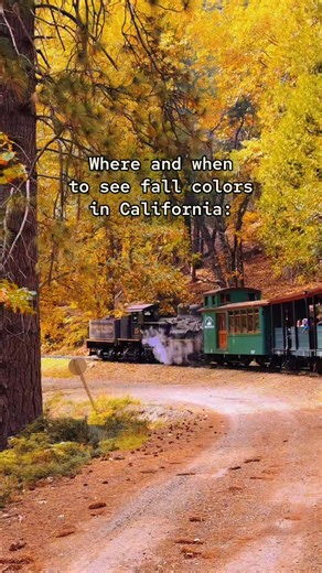 Where and when to enjoy fall colors in California in 2025 💛 The exact time may vary depending on the weather. I listed times that have the most chances to have peak fall foliage, and also when I filmed my videos in those areas. There’s also a California Fall Foliage map online that usually updates weekly and is pretty helpful. Check my reel from last week ago for the detailed Yosemite guide 🙌 Also, a couple weeks ago I shared a detailed video about Hwy 395 road trip. Are you going on a Califor