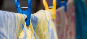 Best Ways to Attach a Clothes Line to a Tree | DoItYourself.com