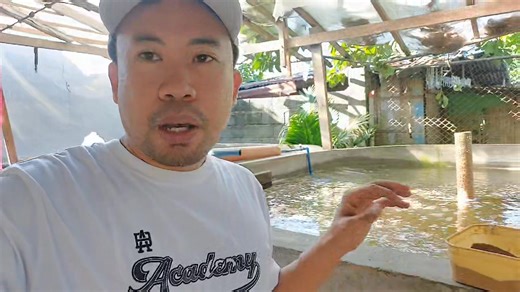 38K views · 479 reactions | How To Remove Sludge without Settling Tank in Pond in No change water system super Intensive Tilapia Farming. | Pinoy Palaboy | Facebook