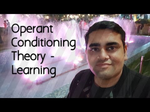 Operant Conditioning Theory (B F Skinner) - Learning Theory