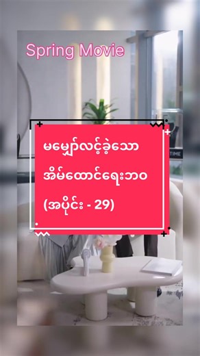 မမျှော်လင့်ခဲ့သော အိမ်ထောင်ရေးဘဝ (အပိုင်း - 29) #movie #tiktok #spring