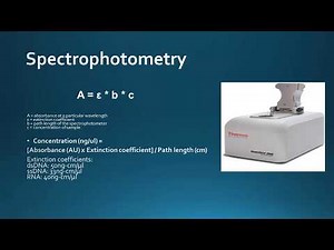 Nucleic Acid Quantification Methods