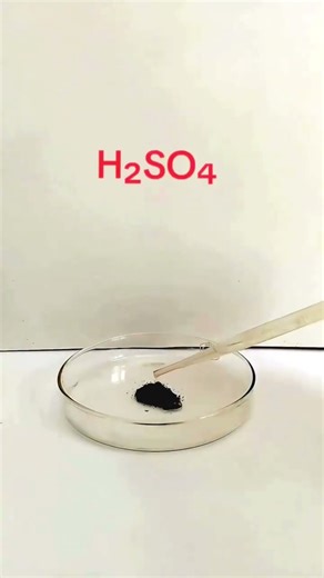 Science Experiment 🧪 #shorts #science