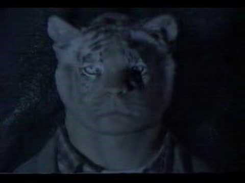 Animorphs - Tiger Morph