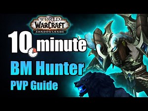 Shadowlands 9.1 Beast Mastery Hunter PVP Guide in under 10 minutes | WoW