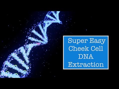 Super Easy Cheek Cell DNA Extraction