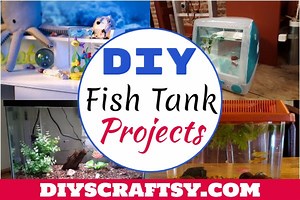 22 DIY Fish Tank Projects You Can Build Free