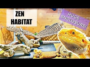 Setting Up a Huge Zen Habitat Bearded Dragon Enclosure Setup