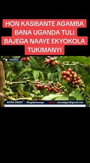 Understanding the Factors of Production for Successful Business Ventures