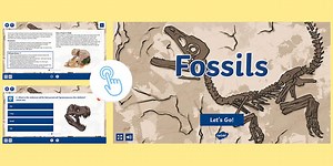 Fossils Self-Marking Reading Comprehension Activity