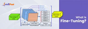 What is Fine-Tuning? A Step-by-Step Guide