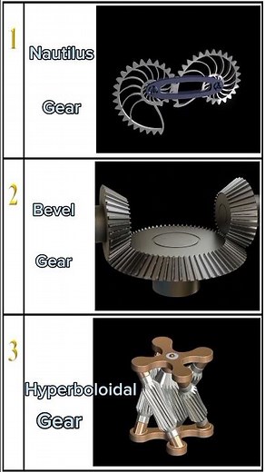 Three Types of Gear