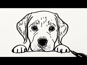 How to Draw a Labrador Retriever Puppy