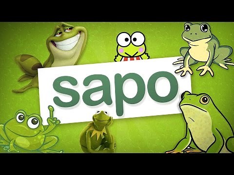 Sapo