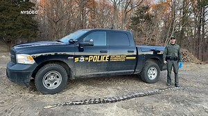 14-foot python found dead on side of the road in Suffolk County
