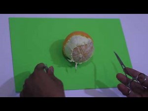 Dissection Techniques in surgery 2