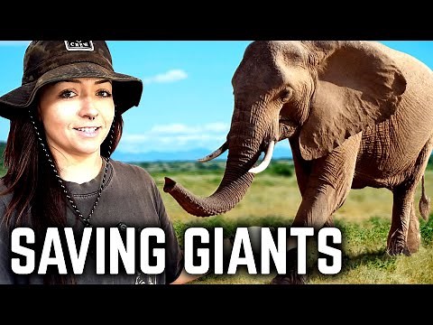How to Protect Elephants in Kenya | Lindsay Nikole