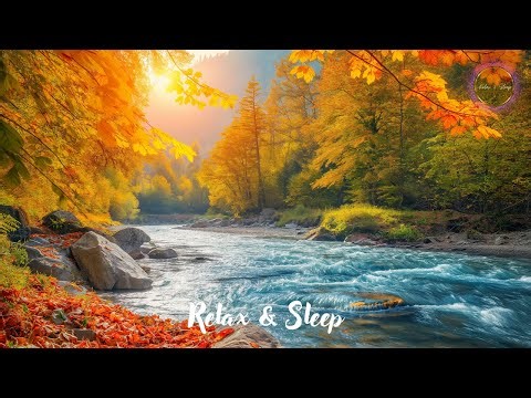 Amazing Leaf Color Change Time Lapse!