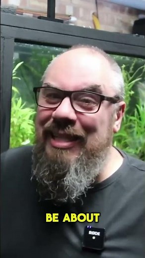 Is Fluval Plant 4.0 Worth It Honest Review After