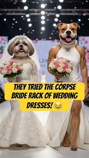 The Corpse Bride Still Mad, So My Dogs Slayed ! #shorts #wedding #shorts #kiwiandlucy