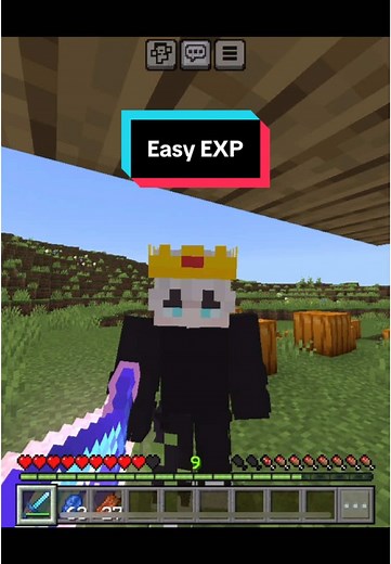 𝙠𝙠𝙖𝙮𝙈𝘾🎋✨ (@kkaymcpe) - Easy EXP Guide for Minecraft Players