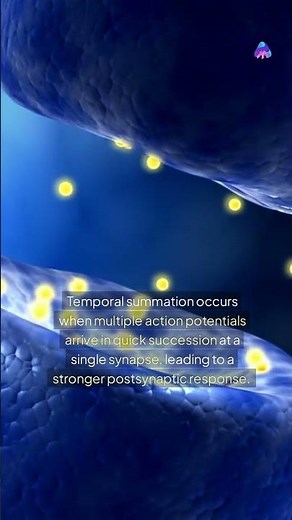 🔥 Temporal Summation: How Neurons Boost Signals! ⚡🧠 #neuroscience #knowledge #curiosity#medical