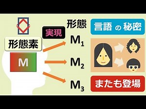 異形態とは？〜形態素と形態のちがい〜【形態論#4】