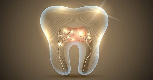 Translucent Teeth: Causes, Treatment, Cure, and Prevention - Dentaly.org
