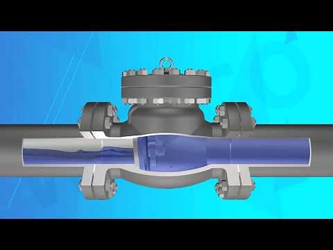 Swing Check Valve