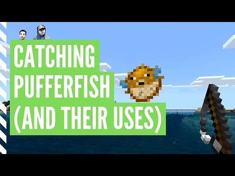 How To Get PUFFERFISH In Minecraft (And Their Uses)