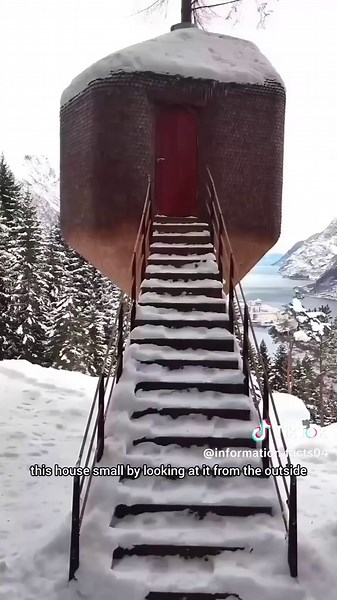 Octopus Intelligence: More Advanced Than Humans?