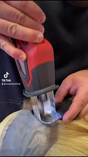 Eva Spiess on TikTok