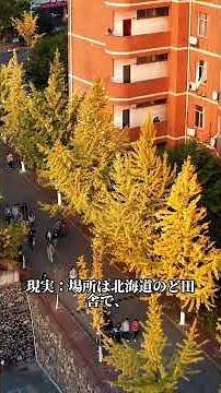 #日本地図 #地理 #fyp #雑学 #map #大学受験