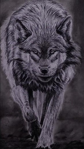 Wolf Drawing Tutorial | Realistic Pencil Sketch Step by Step for Beginners