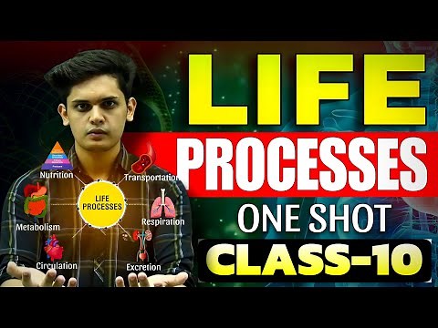 Life Processes Complete Chapter🔥| CLASS 10 Science | NCERT Covered| Prashant Kirad