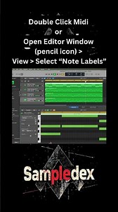 Use Logic Pro? You Need To Turn On These 3 Settings!! #logicpro #midi #tutorials #logicprotips #free