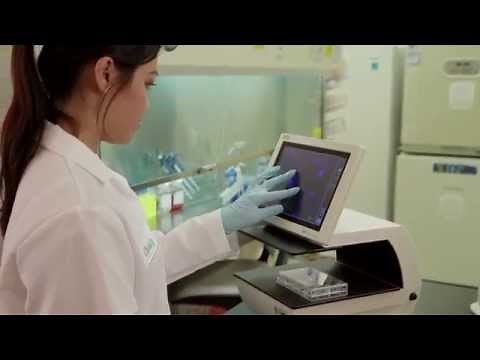 PureBlu™ DAPI Nuclear Staining Dye for Fixed Cells - A Fast Approach to Staining Nuclei