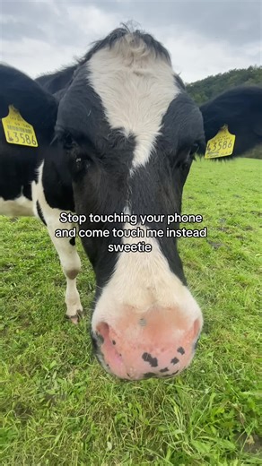 #touch #me #phone #goviral #cowboy | phone