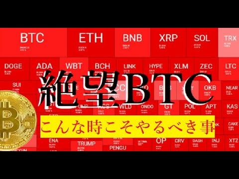 【隠居Vlog】ビットコインも仮想通貨もいいニュースがない。BTC
