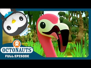 @Octonauts - 🌴 The Flamingos 🦩 | Season 4 | Full Episode | Cartoons for Kids - Videos For Kids