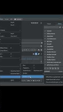 NEU MAGIX X17 Menü Datei